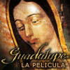 La pel�cula Guadalupe