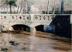 puente.jpg (11753 bytes)