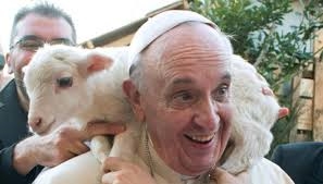 Papa Francisco con cordero