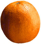 naranja.jpg (7664 bytes)